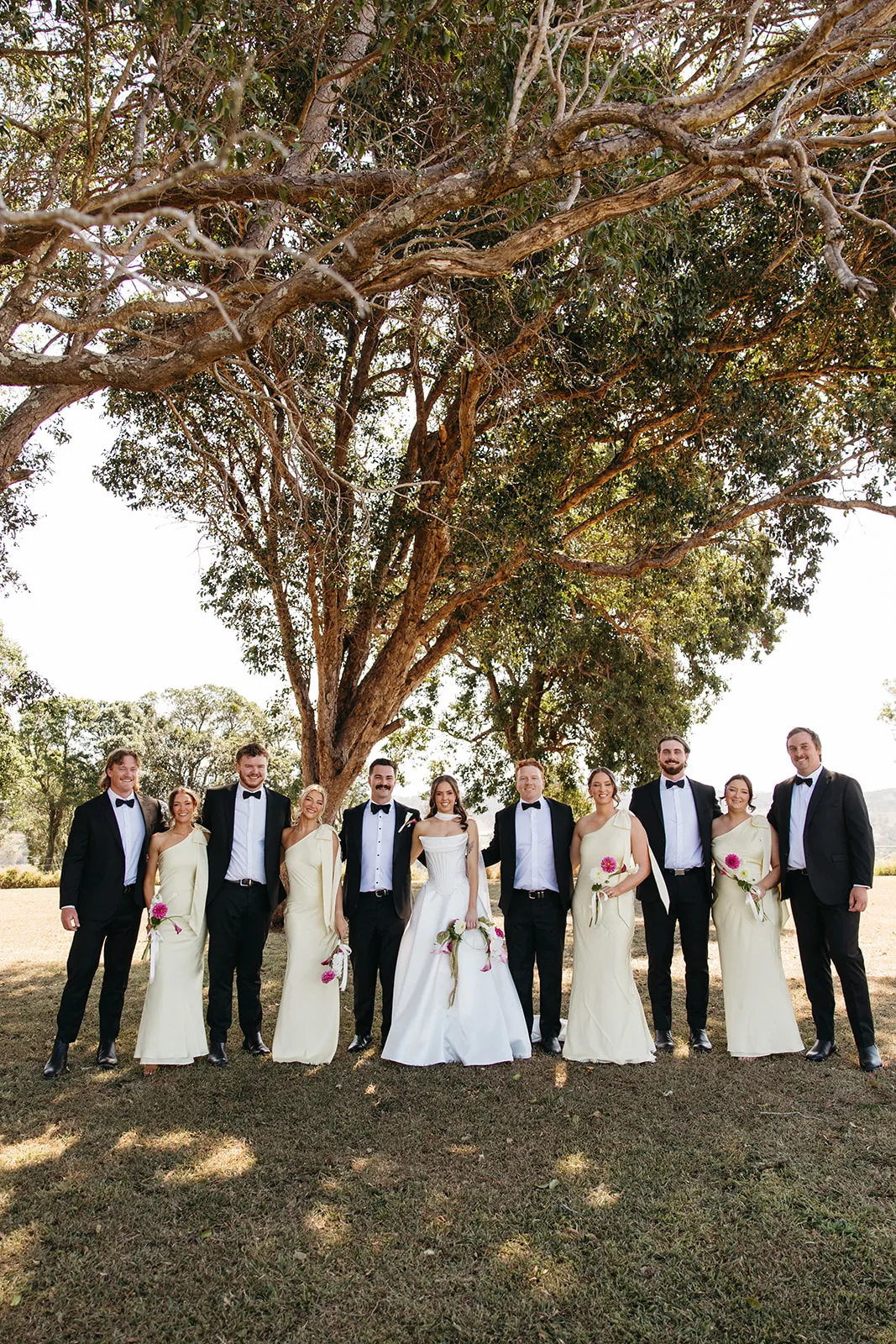 Full bridal party group photo beneath a large shade tree