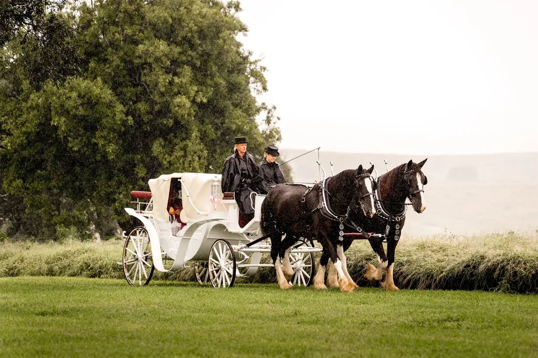 Horse-drawn carriage with driver and groomsman approaching along the misty driveway