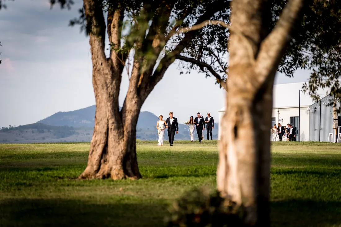 Bridal party walking across the lawn between trees with a mountain in the distance