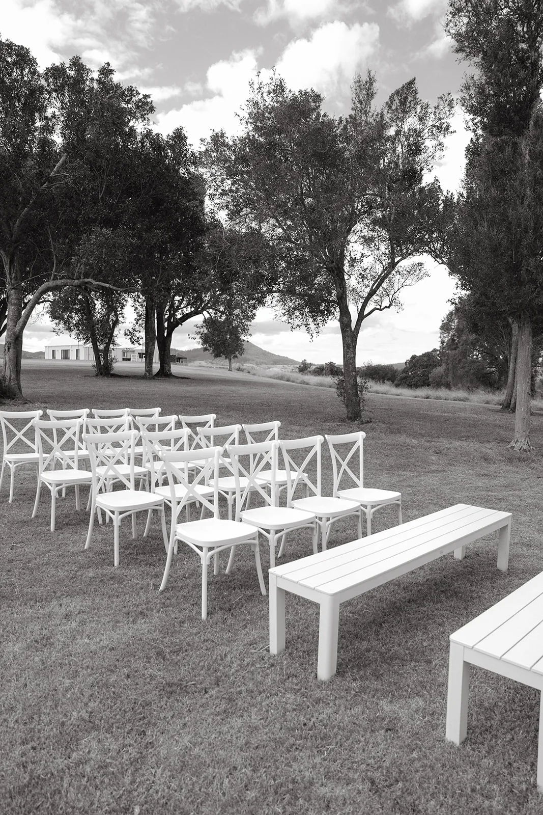 Black and white photo of empty white cross-back chairs beneath gum trees