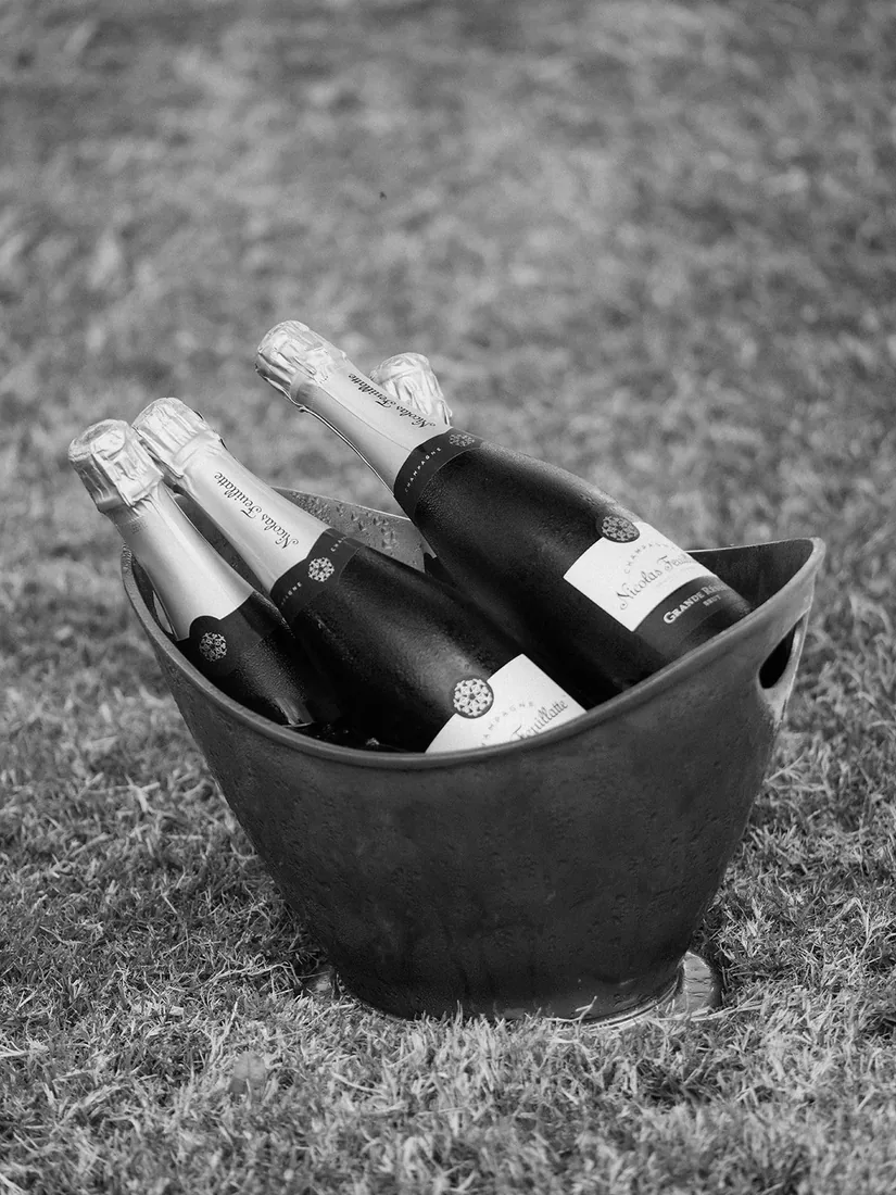Black and white photo of champagne bottles chilling in a bucket on the grass